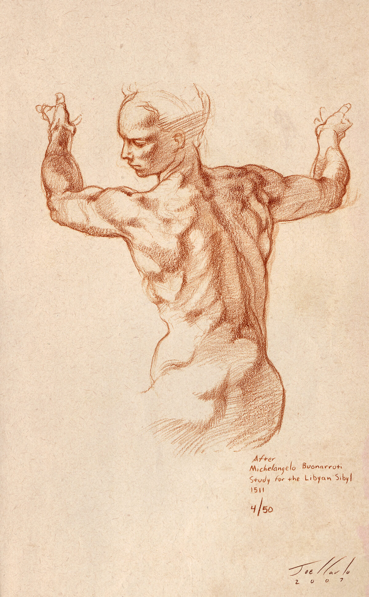 Anatomy Lesson Series Torsos