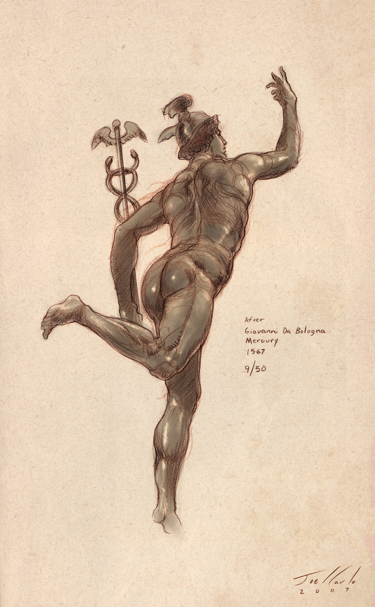Anatomy Lesson Series Torsos
