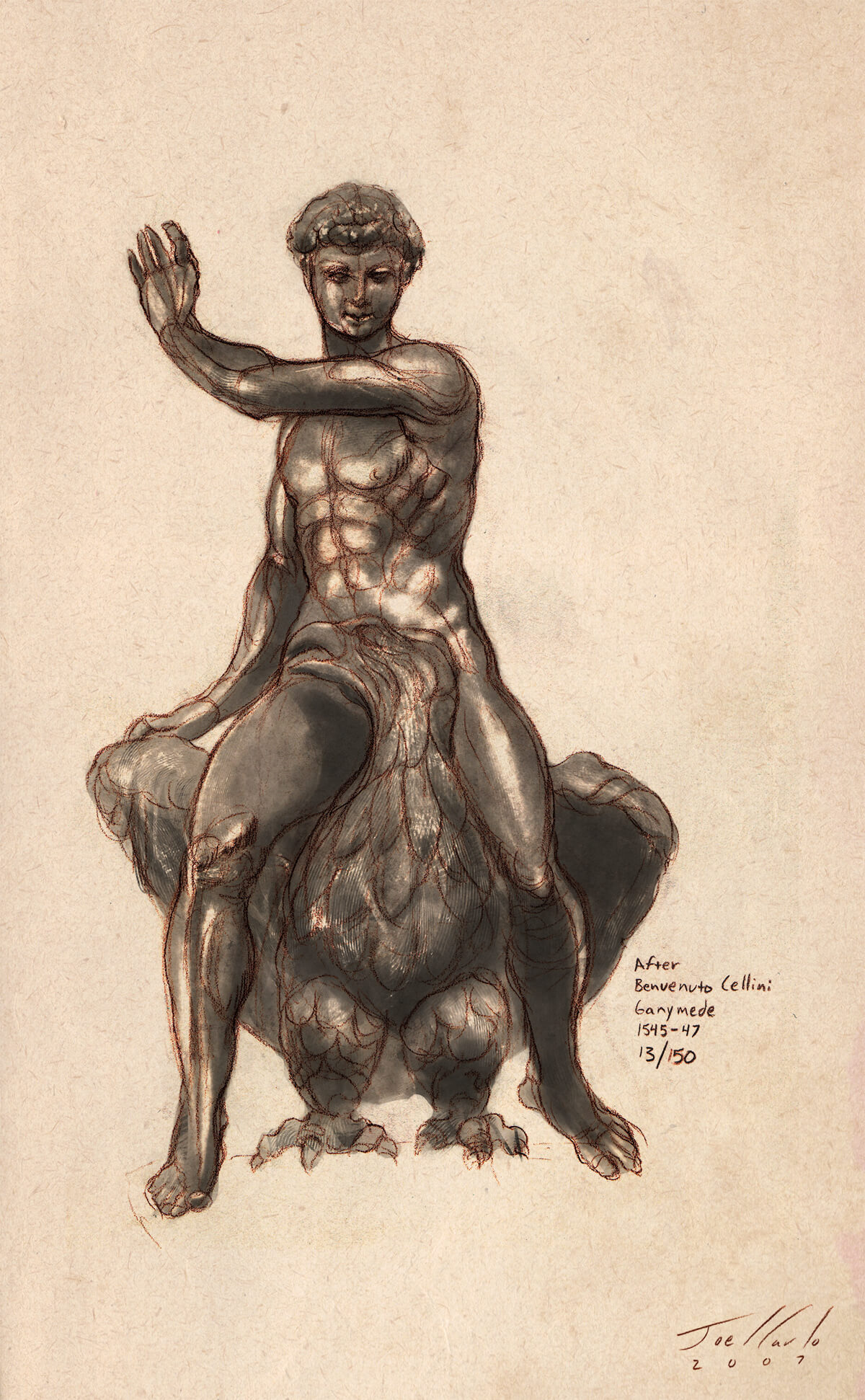 Anatomy Lesson Series Torsos